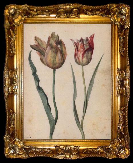 framed  Georg Flegel Two Tulips, ta009-2